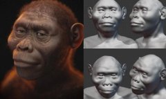 <b>西出名的面部沉建专家西塞罗·莫拉斯暗示</b>